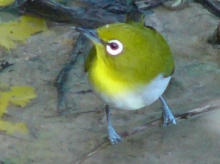 ǂƎvH