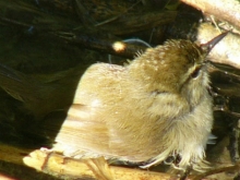 Ӂ`